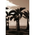 thumbnail image 2 of Blue, Cyril 18x24 White Modern Wood Framed Museum Art Print Titled - Date Palm, Mauritius, 2 of 4
