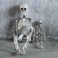 thumbnail image 3 of Halloween Body Skeleton Party Decoration Prop for Living Room Bedroom, 3 of 6