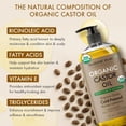thumbnail image 6 of Majestic Pure USDA Organic Castor Oil | Hexane Free & 100% Pure | Cold Pressed | Stimulate Growth for Hair, Eyelashes, Eyebrows, Nails | Moisturizing & Nourishing | Body, Hair & Carrier Oil | 8 Fl Oz, 6 of 9