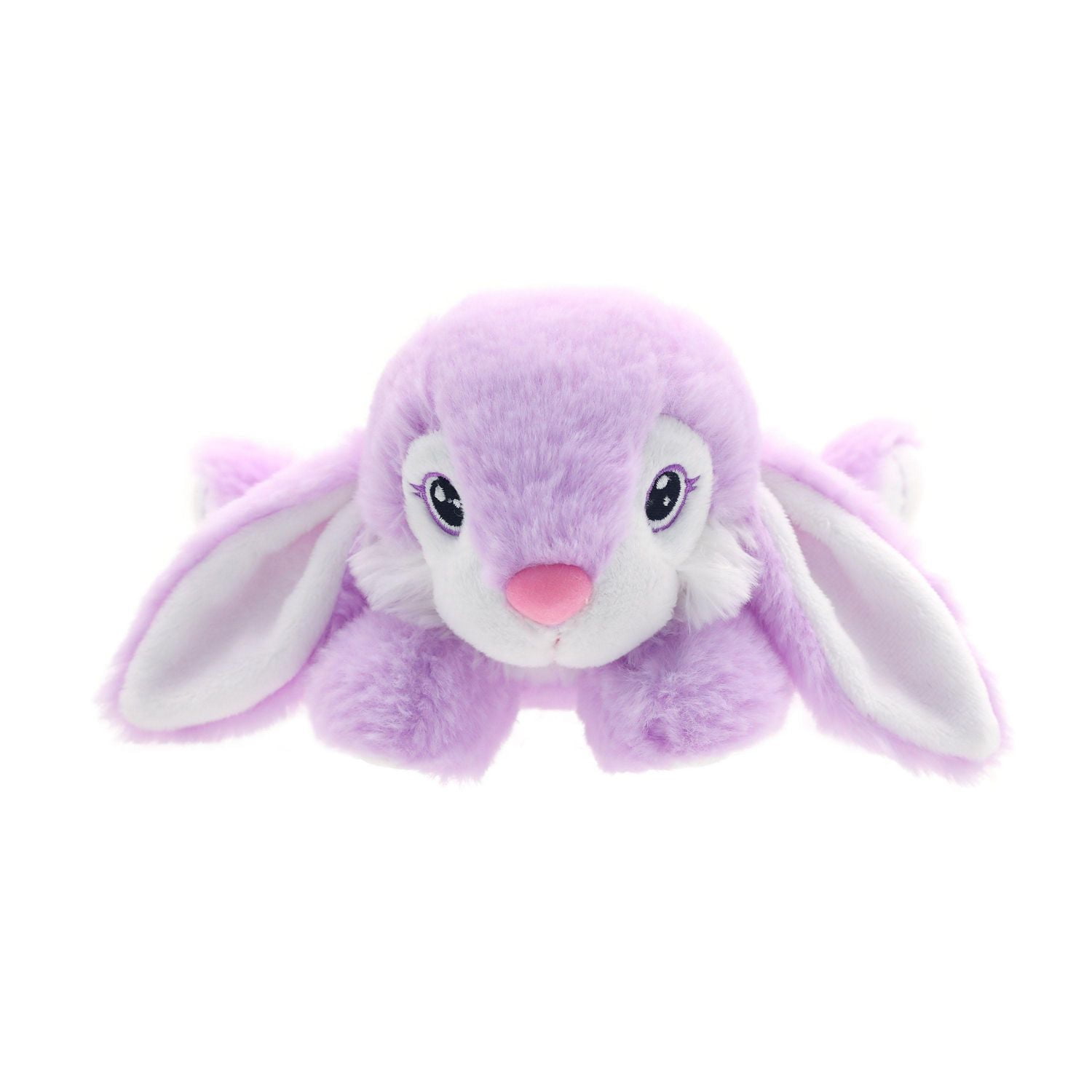 Façon de célébrer le petit hopster joyeux, violet