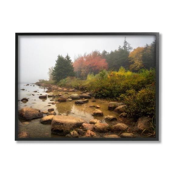 Stupell Industries Rocky Shore Woodland Foliage Coastal Photography Black Framed Art Print Wall Art