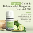 thumbnail image 6 of Pranarom Organic Bergamot Essential Oil 5ml - Therapeutic Grade for Aromatherapy, Diffuser, Uplifting Scent, Relaxation, Sleep, 6 of 6