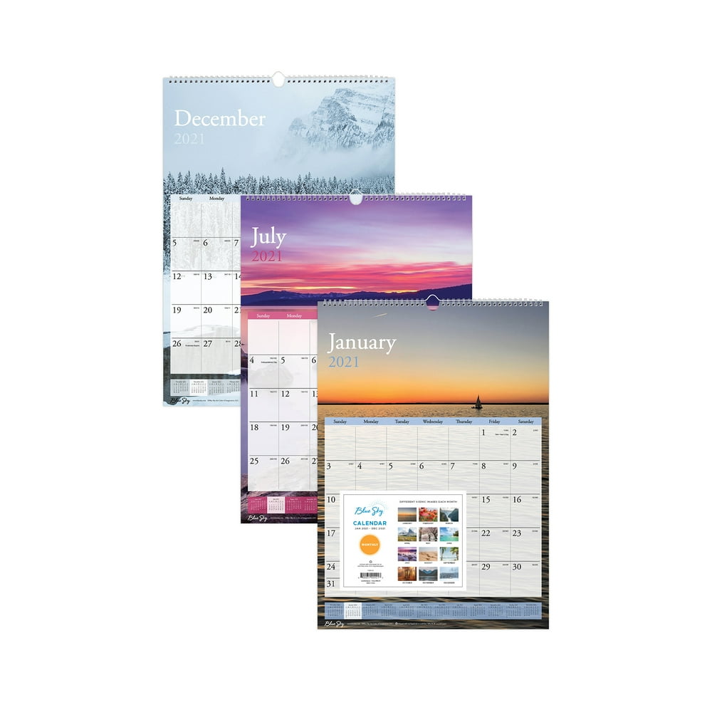 Blue Sky 2021 12" x 17" Wall Calendar, Scenes