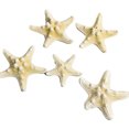 thumbnail image 1 of Starfish Fish Tank Decoration, Artificial Unique Beautiful Starfish Ornament Set for Aquarium Decoration Wind Chime, 1 of 8