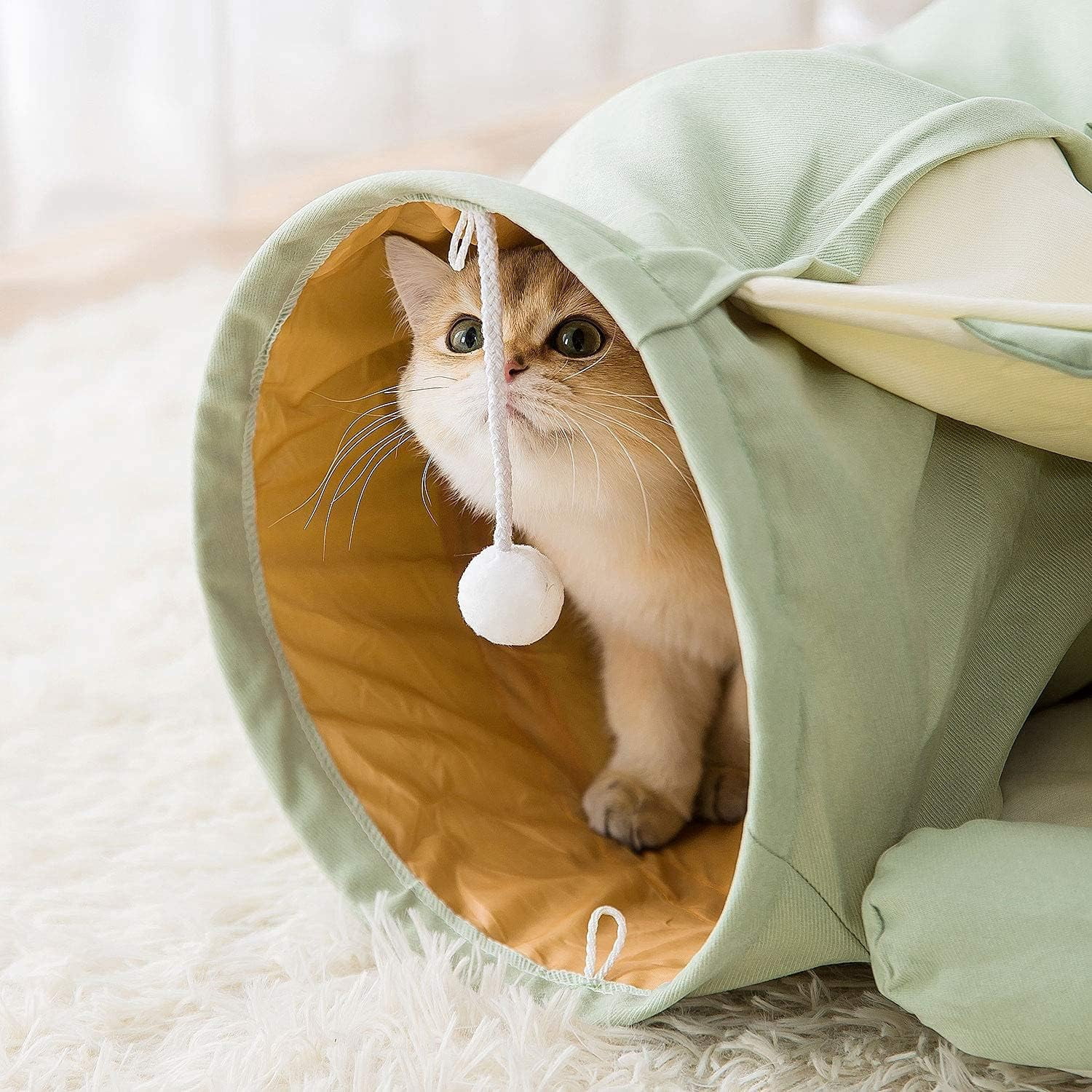 Tunnel for Indoor, Tube with Collapsible Washable Bed,Cat Bed for Small Medium Large cat.(Matcha)