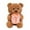 B, variant on Bwiyojiz Stuffed Animals Toys Valentine's Day Cuddle Rose Bear Birthday Toy, Gifts for Him