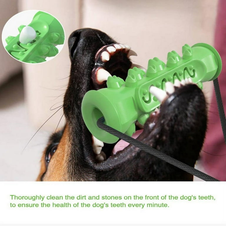 Dropship Pet Dog Toys With Suction Cup Dog Chew Toy Dogs Push Ball Toy Pet  Tooth Cleaning Dog Toothbrush For Puppy Large Dog Biting Toy to Sell Online  at a Lower Price