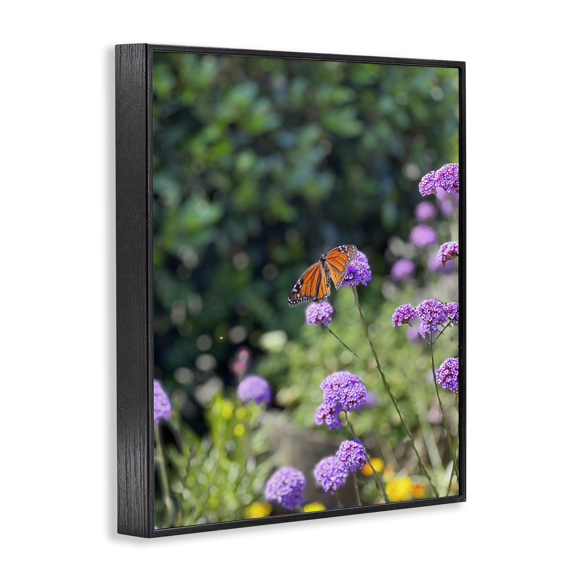 Stupell Industries Butterfly in Meadow Animals & Insects Photography Black Framed Art Print Wall Art, 11 x 14