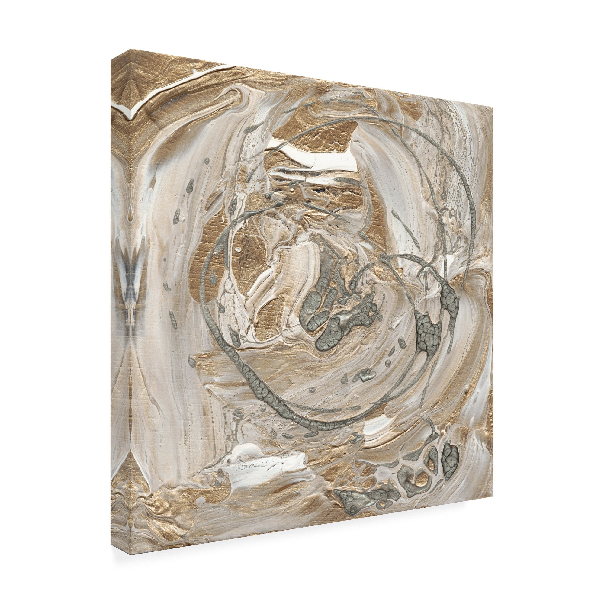 Trademark Fine Art 'Silver And Gold I' Canvas Art by Alicia Ludwig