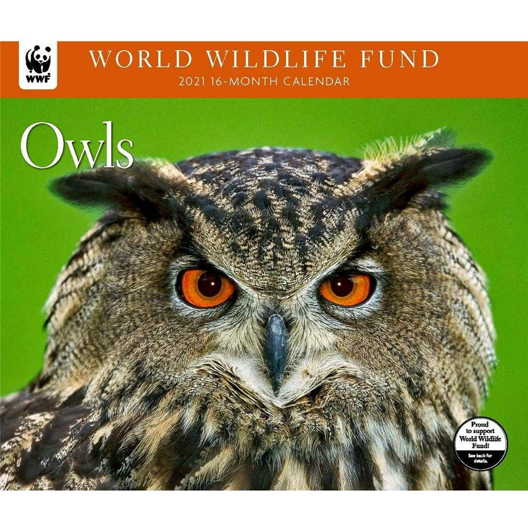 Owls Wwf 2021 Wall Calendar Walmart Canada world wildlife fund calendar 12 14 2021