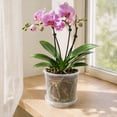 thumbnail image 3 of KGJQ Clear Plastic Orchid Pot with Saucer, Plant Pot with Drainage Holes, Ventilated Flower Pot for Rose, Phalaenopsis, Seedings, 3 of 8