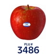 thumbnail image 5 of SugarBee® Apple, Bulk, 5 of 5