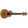 Ibanez UEW5E Acoustic-Electric Concert Ukulele