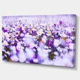 thumbnail image 2 of Daisy Photographie de Champ Panorama - Impression sur Toile Florale, 2 of 4