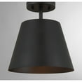 thumbnail image 3 of Meridian M60076NB 1-Light Ceiling Light in Natural Brass, 3 of 7