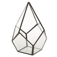 thumbnail image 1 of Glass Geometric Terrarium Planter Fern, 1 of 8