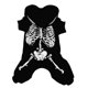 thumbnail image 1 of Ropa para Mascotas Xihbxyly con Diseño de Dinosaurio y calavera para perros, 1 of 6