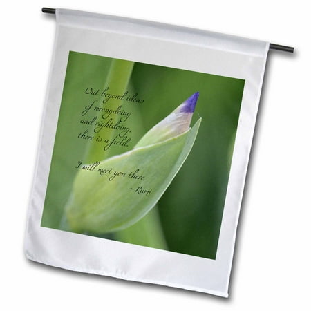Patio Flower Ideas 3dRose Out Beyond Ideas Rumi Quote - Wisdom - Inspirational - Iris Flower - Garden Flag, 12 by 18-inch ()