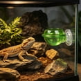 thumbnail image 5 of Transparent Reptile Feeder Dish Elevated Suction Cup Bowl For Gecko Escape Proof Live Glass Terrarium Feeding, 5 of 5