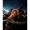 12x16 inch, variant on 5D Diamond Painting Kits for Adults,Titanic couple Diamond Art Kits for Adults,DIY Round Drill Diamond Art Craft Kits for Home Wall Decor