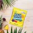 thumbnail image 4 of JOLLY RANCHER GUMMIES Tropical Flavours, 4 of 5