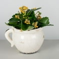 thumbnail image 2 of MDR Trading Inc. FP-ECX-119_Q01 Crackle Glazed Cream Color With Handle Ceramic Planter, 2 of 4