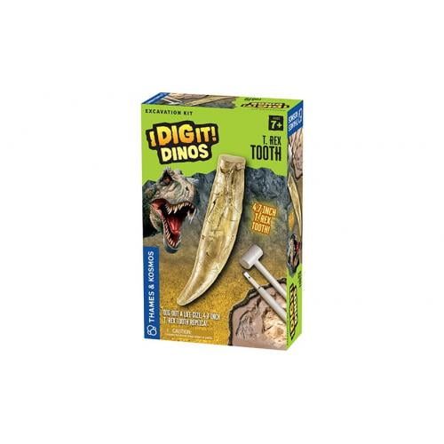 I Dig It Dinos T- Rex Tooth Excavation Kit