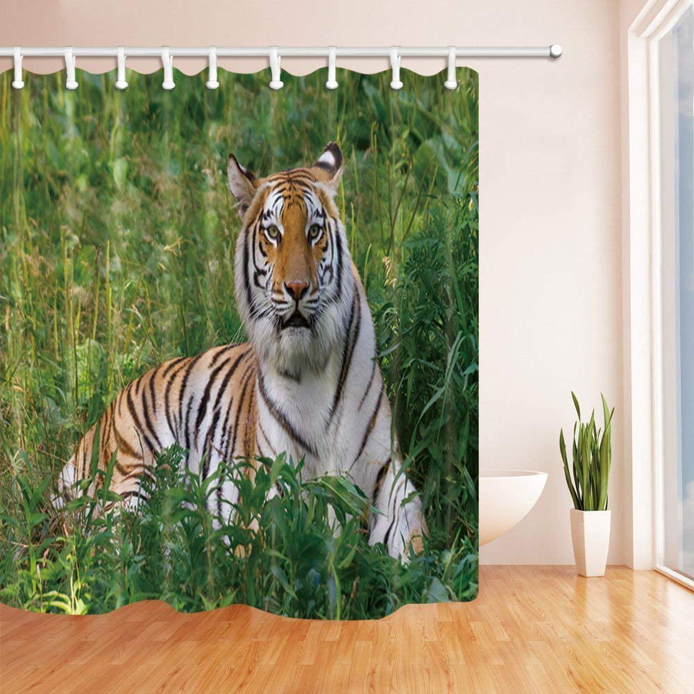 Bathroom Decor Waterproof Fabric Shower Curtain Set Tiger Lay in the Storm Sky 