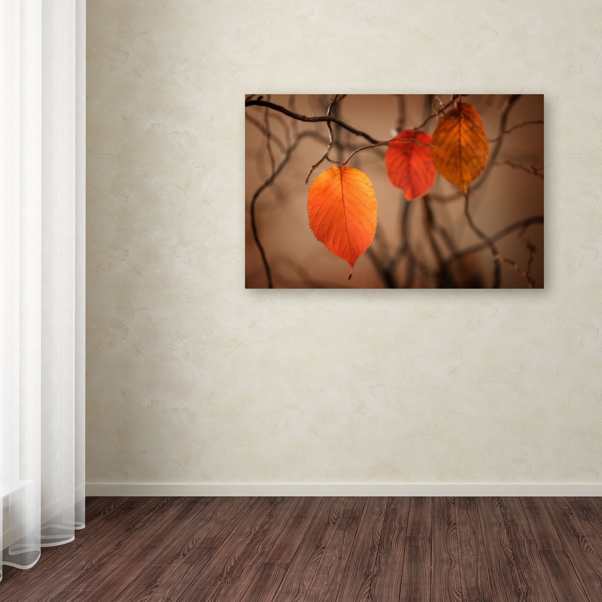 Trademark Fine Art "Leaves after Leaves" Canvas Art by Philippe Sainte-Laudy