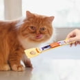 thumbnail image 4 of Cat Strip Feeder Cat Strip Spoon Cat Shaped Cat Food Can Spoon Multifunctional Lickable Wet Cat Dispenser For Cat Liquid Snack Cat Feeding Food Storage, 4 of 7