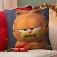 thumbnail image 4 of Garfield Fundas de almohada de terciopelo con tema, regalos de funda de almohada, decoración para el hogar, cojín de lanzar, regalo de cumpleaños para fans y parejas. 60cm x 60cm., 4 of 6