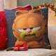 thumbnail image 4 of Garfield Fundas de almohada de terciopelo con tema, regalos de funda de almohada, decoración para el hogar, cojín de lanzar, regalo de cumpleaños para fans y parejas. 45cm x 45cm., 4 of 6