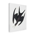 thumbnail image 3 of Trademark Fine Art Pictufy Frigate Pelican From Birds of America 1827 Canvas Wall Art, 3 of 4