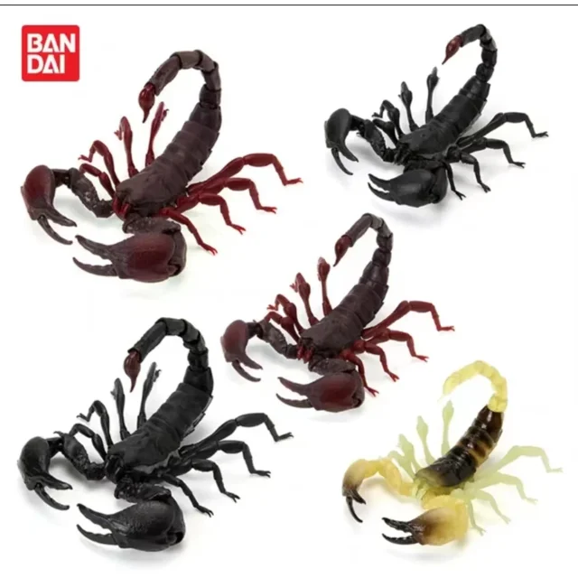 Insects Gashapon Big Picture Book Series Mantis Spider Scorpion Wasp Simulation Insect Action Figure Model Toys