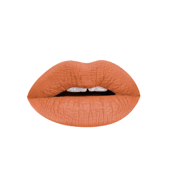 Aromi Matte Liquid Lipstick | Long-Lasting, Nutmeg Orange Lip Color (Burnt Pumpkin)