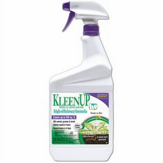 Kleenwise Cleaner and Descaler