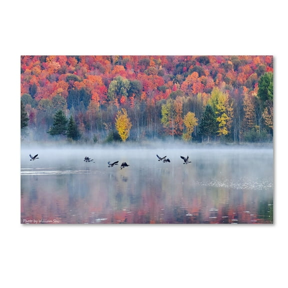 William Shi ( 'Autumn' Canvas Art