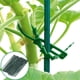 thumbnail image 4 of 50 bridas de plástico flexibles ajustables para plantas de jardín, bridas de sujeción para plantas, 4 of 8