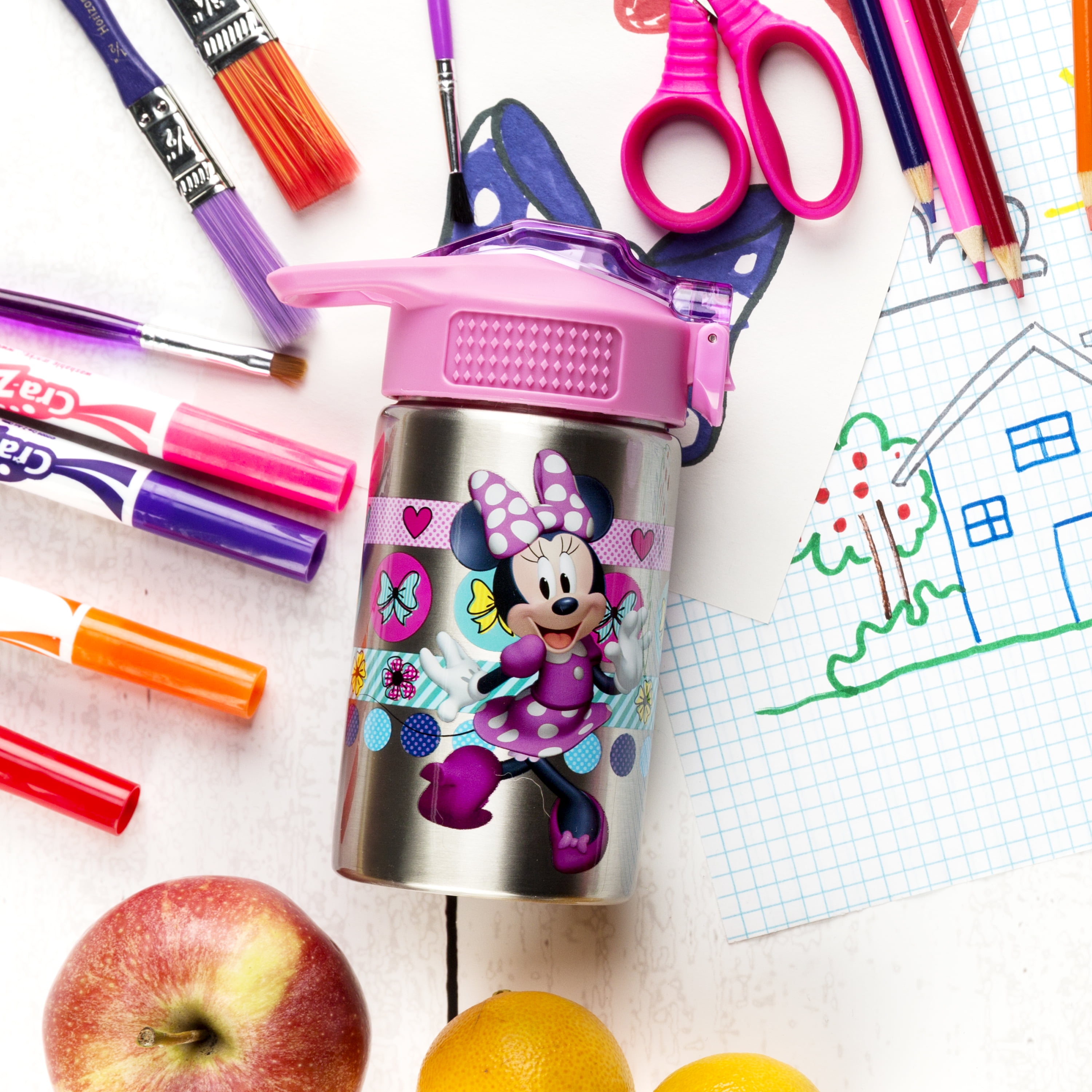  Zak Designs Disney Minnie's Happy Helpers - Stainless Steel Water  Bottle with One Hand Operation Action Lid and Built-in Carrying Loop, Kids Water  Bottle with Straw Spout (15.5 oz, 18/8, BPA
