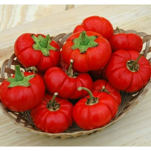 Pepper Pumkin Seeds for Planting (5 Rare Seeds) - Grow Peppers Shaped Like Pumpkins