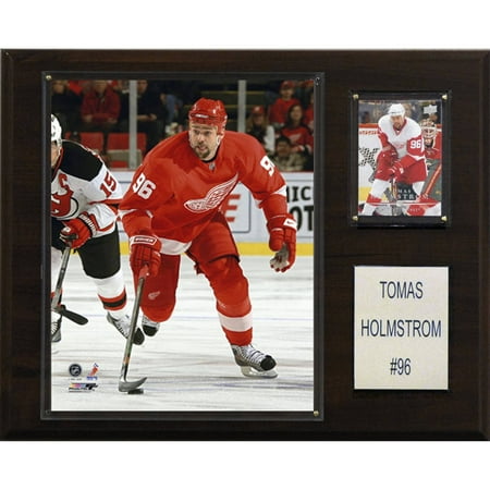Tomas Holmstrom Detroit Red Wings - C&I Collectables NHL 12x15 Thomas Holmstrom Detroit Red Wings Player Plaque