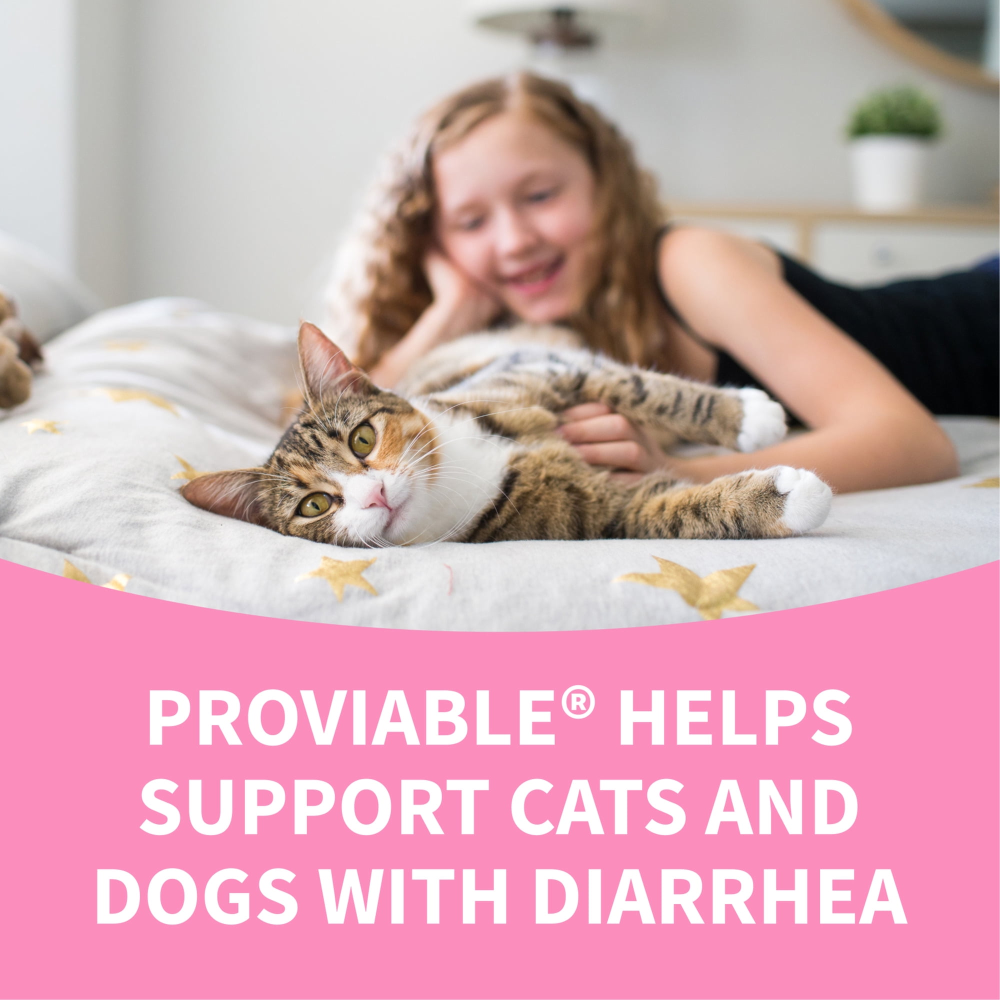 Nutramax Proviable Digestive Health Supplement DC Capsules for Cats and Dogs, 30 Count