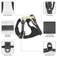 thumbnail image 4 of Dog Harness, Brightly Colored Dragonfly Butterfly No Pull Pet Harness Dog Leash, Step-in Dog Vest Harness, No Choke Reflective Adjustable Puppy Vest for Small Medium Large Dogs, 4 of 6