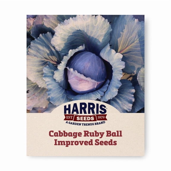 Harris Seeds Ruby Ball Improved Cabbage, Early Red Head Variety for Garden, Treated, 50 Count