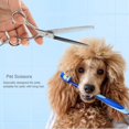 thumbnail image 2 of LYUMO Ciseaux pour Animaux, Ciseaux de Toilettage pour Animaux, Ciseaux de Coupe de Poils de Chat Professionnels Ensemble de Ciseaux de Coiffure, 2 of 11