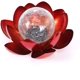 thumbnail image 1 of Decoración de luz solar de loto, flor de metal, impermeable, jardín, luz LED blanca cálida, bola de cristal agrietada para patio, césped, pasarela, mesa Zhivalor WMZY-1165, 1 of 6
