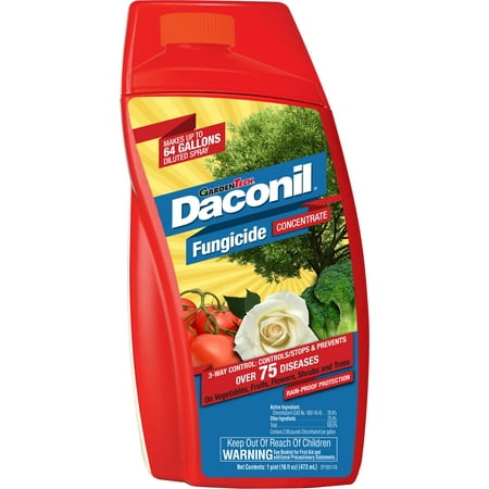 Daconil Concentrated Liquid Fungicide, 16 oz (Best Lawn Fungicide For Brown Patch)