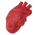 thumbnail image 2 of Corazón humano falso de látex, tamaño natural, accesorios de terror sangriento para Halloween, 2 of 6