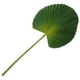 thumbnail image 1 of BRIGHTFUFU Decoración de hojas verdes artificiales, suministro de arreglos florales, decoración artesanal realista de hojas de imitación, 1 of 8