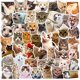 thumbnail image 2 of 50 pegatinas para gatos Sincero pegatinas de graffiti para gatos lindos, 2 of 5